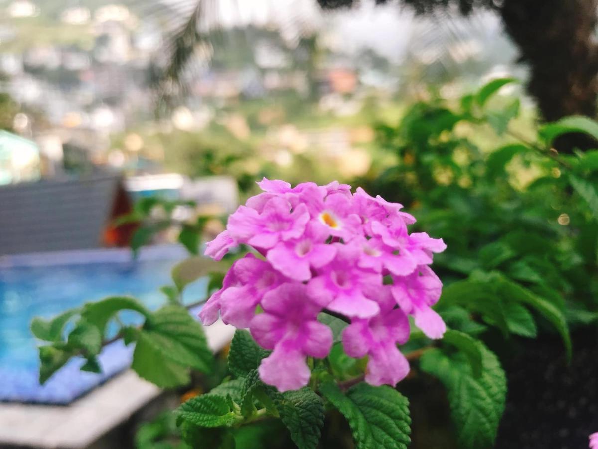 Nhà Trên Mây - Homstay Tam Đảo Esterno foto